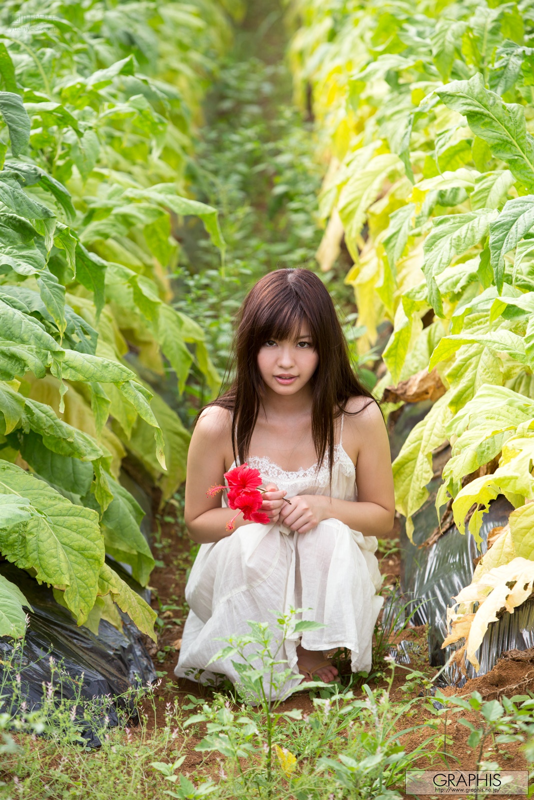(2013 - 06 - 28) HAYAMA Mei (叶山めい)