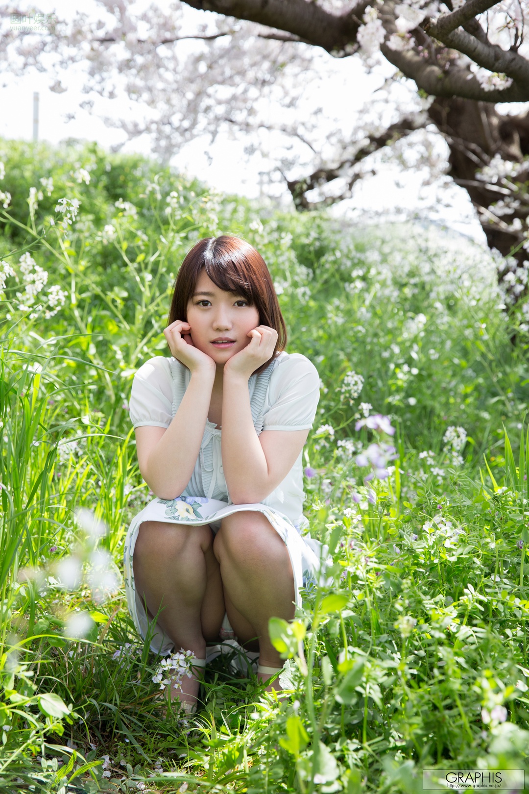 (2017 - 04 - 21) KIKUKAWA Mitsuha (菊川みつ叶) - Flesh Seedlings