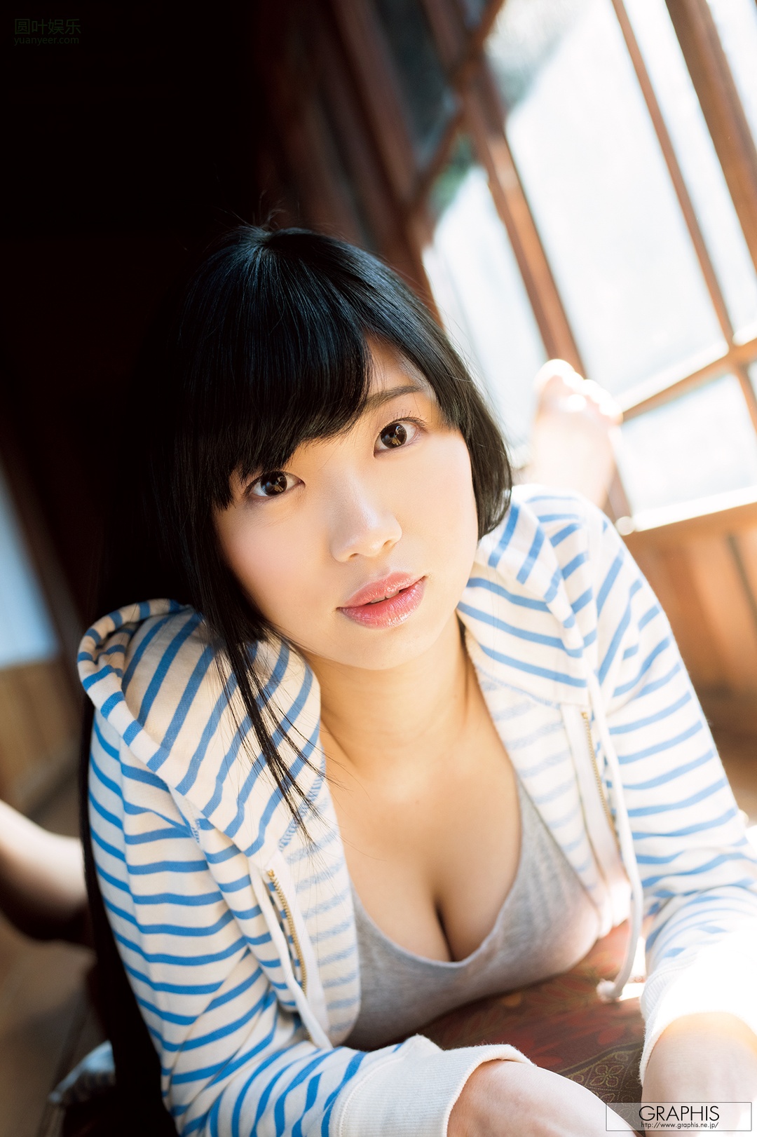 (2017 - 06 - 23) KIRITANI Matsuri (桐谷まつり) - Primula Julian