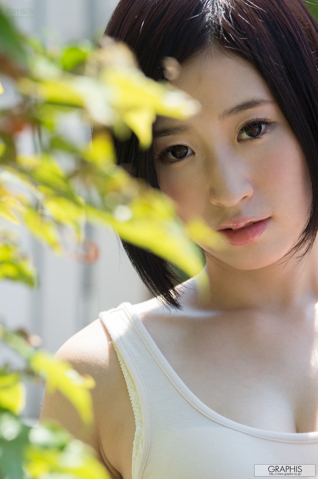 (2016 - 08 - 10) IMANAGA Sana (今永さな) - White Camellia