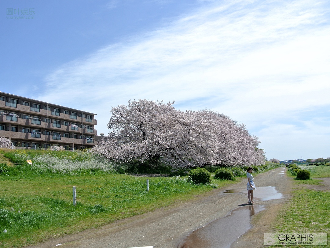(2017 - 04 - 21) KIKUKAWA Mitsuha (菊川みつ叶) - Flesh Seedlings