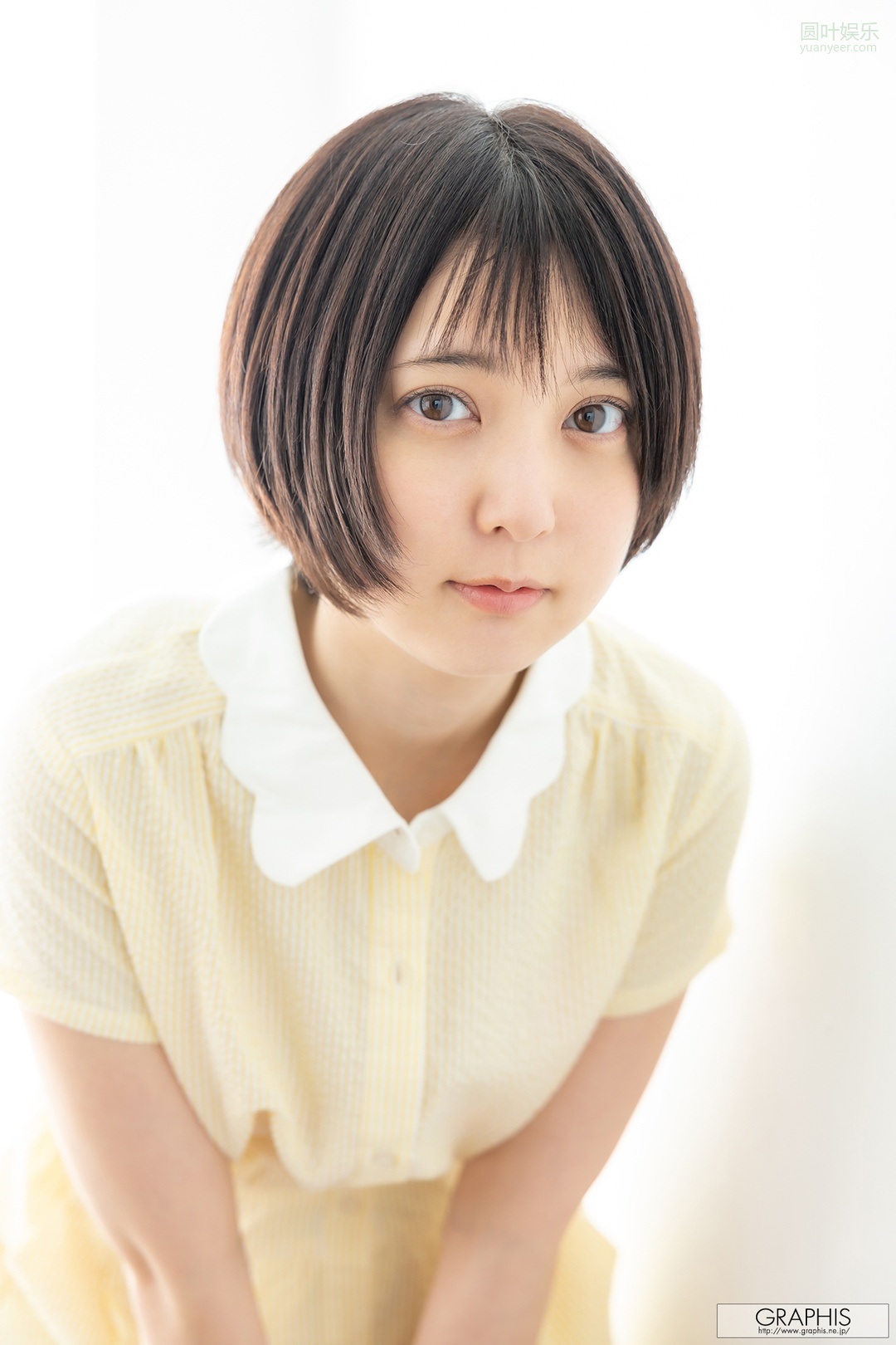 (2023 - 02 - 17) SHINOMIYA Alice (四宫ありす)封面图片