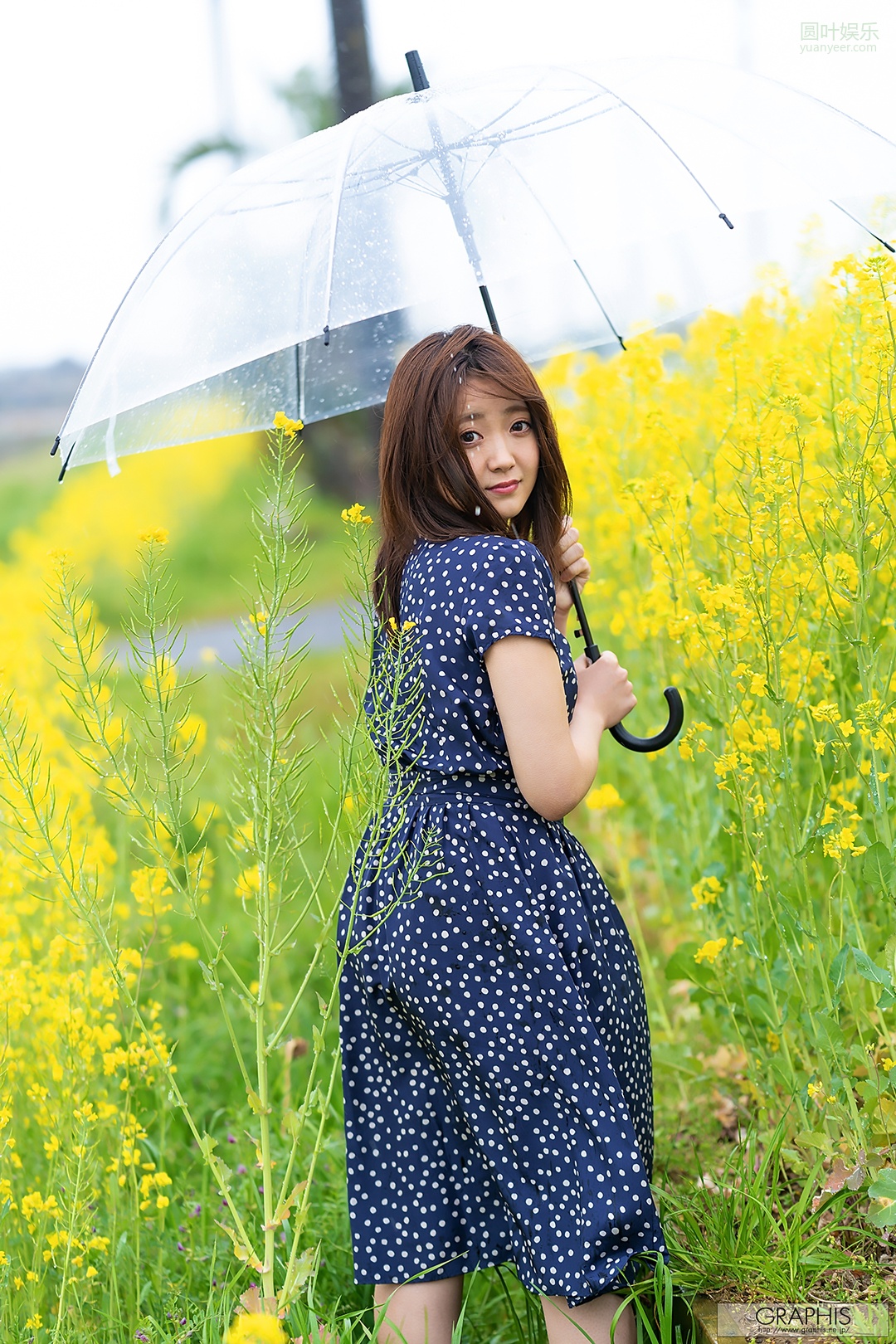 (2020 - 04 - 17) SHIZUKI Madoka (诗月まどか) - Turnover