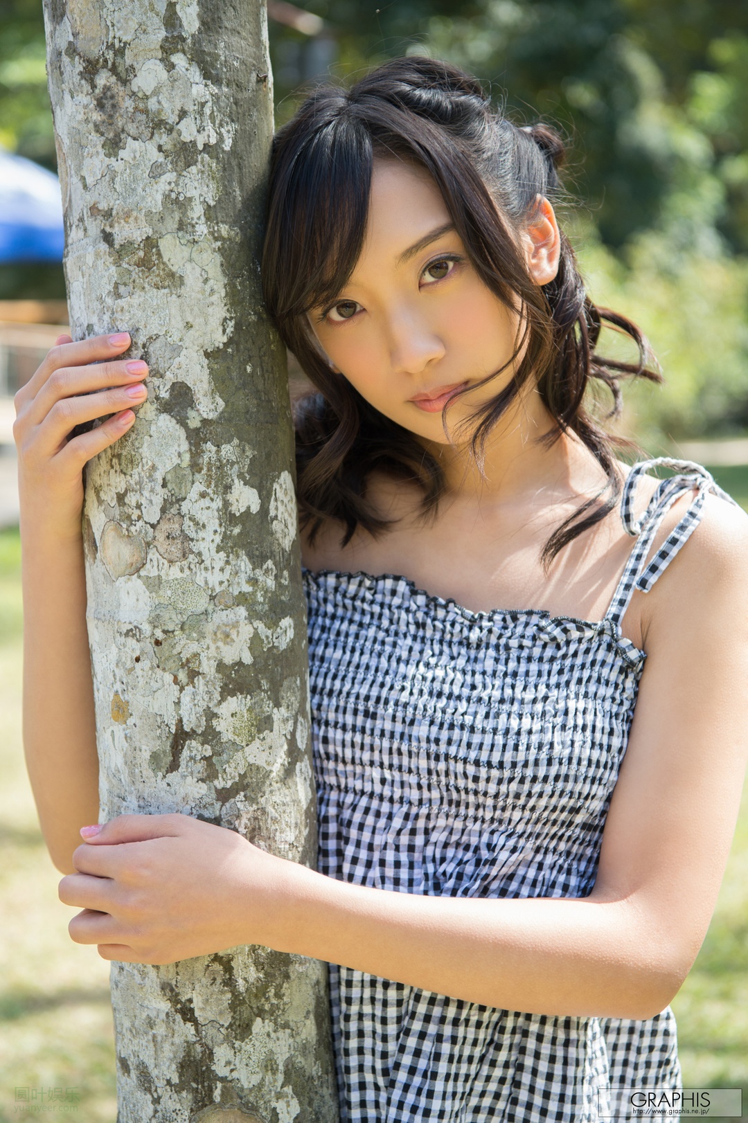 辻本杏经典作品编码及封面合集