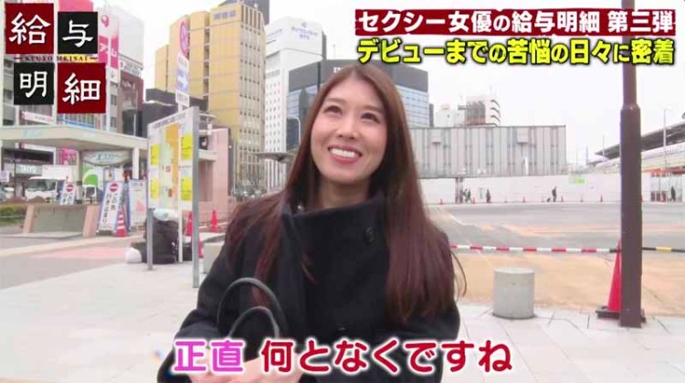 茜えりな(茜惠里奈)作品DTT-025