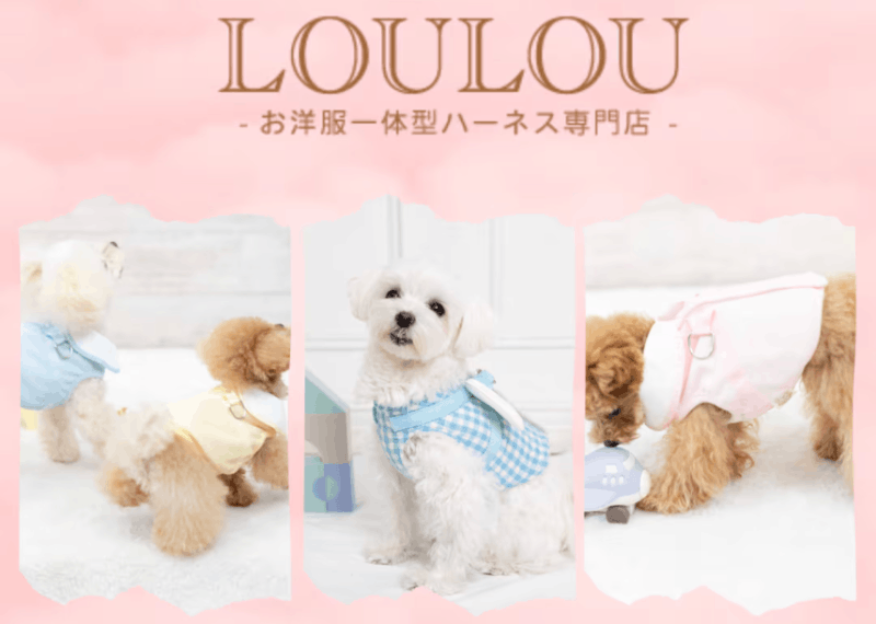 自己写企划自己跑案子……小島みなみ(小岛南)创业当社长了!-图片4