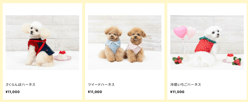 自己写企划自己跑案子……小島みなみ(小岛南)创业当社长了!-图片5