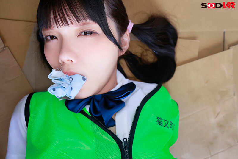 作品DSVR-1681发布，封面及作品信息！