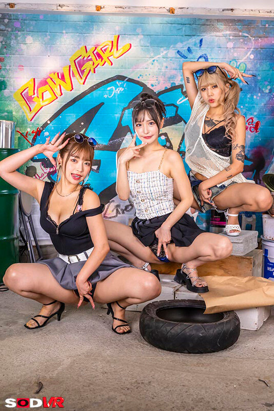 椿りか（椿莉香），百永さりな（百永纱里奈），鳳カレン（凤可怜），共演作品DSVR-1692发布，封面及作品信息！