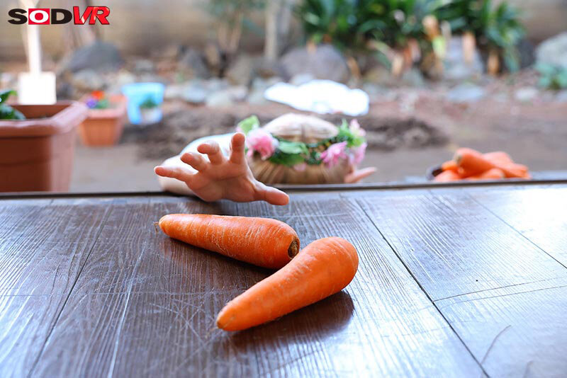 作品DSVR-1746发布，封面及作品信息！