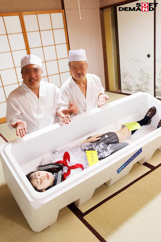 作品SDDE-741发布，封面及作品信息！