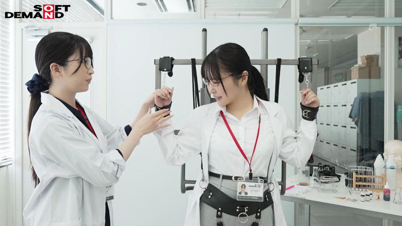 作品SDJS-315发布，封面及作品信息！