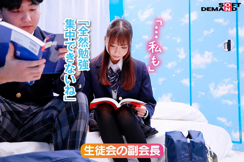 作品SDMM-201发布，封面及作品信息！