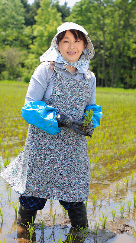 作品MBM-979发布，封面及作品信息！封面