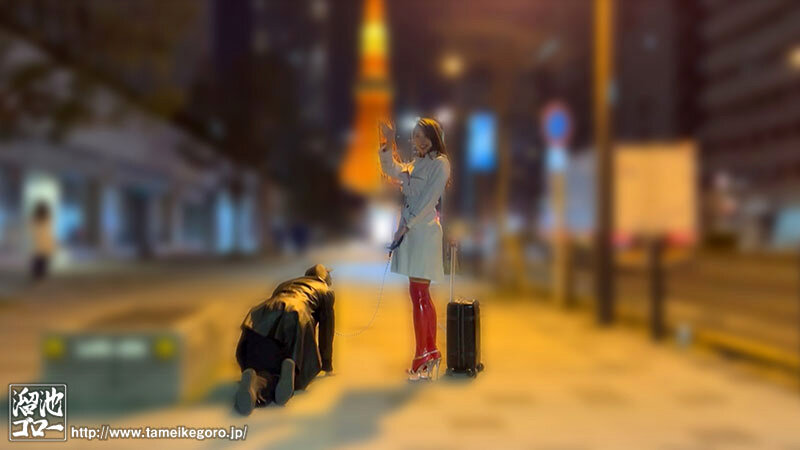 花宮きょうこ（花宫京子）作品OFES-024发布，封面及作品信息！