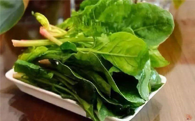 唐太宗御用的养生蔬菜,如今还在餐桌上,它的功效想不到。 唐太宗御用的养生蔬菜,如今还在餐桌上,它的功效想不到。