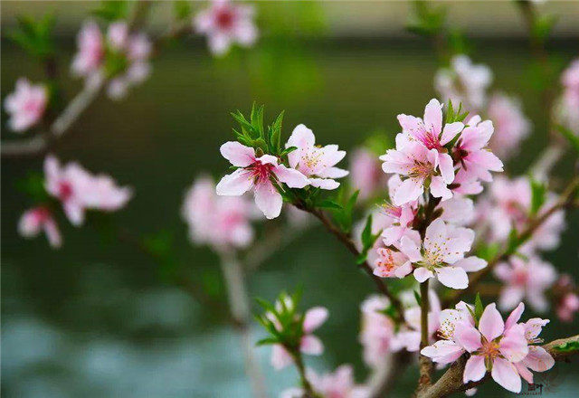 莫道世无赏音人 此诗此字应不朽 莫道世无赏音人 此诗此字应不朽