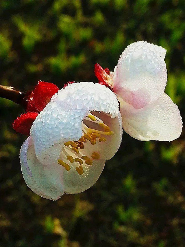 莫道世无赏音人 此诗此字应不朽 莫道世无赏音人 此诗此字应不朽