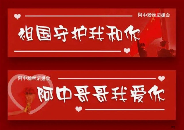 都市中的中产青年:小粉红构成与动机分析