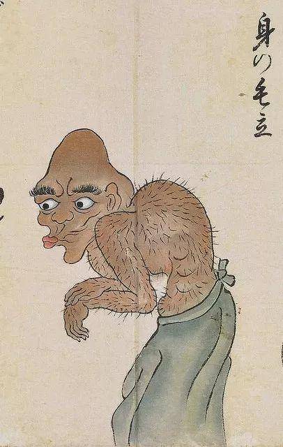 妖怪图鉴:化物尽绘卷 妖怪图鉴:化物尽绘卷