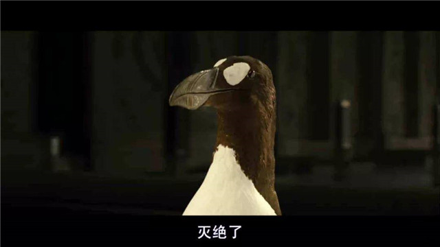 我们真的灭绝了地球60%的物种? 我们真的灭绝了地球60%的物种?