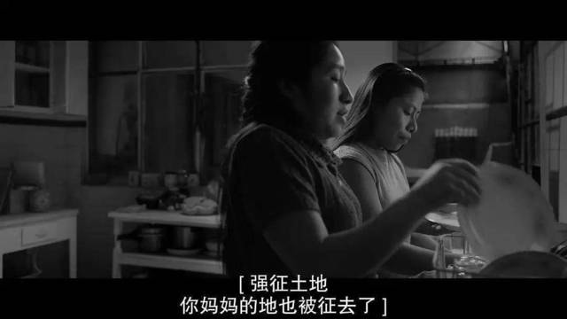 我不管，今年奥斯卡最佳已经定了