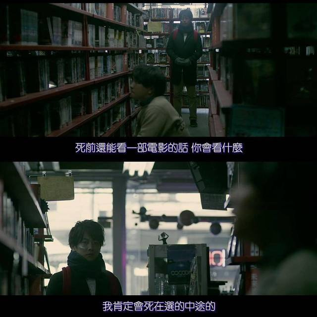 假如你明天就要死亡，你是否愿意让你的猫咪从世界上消失，为你多换取一天生命？