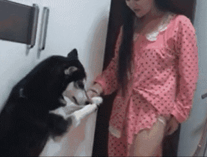 from www.yuanyeer.com