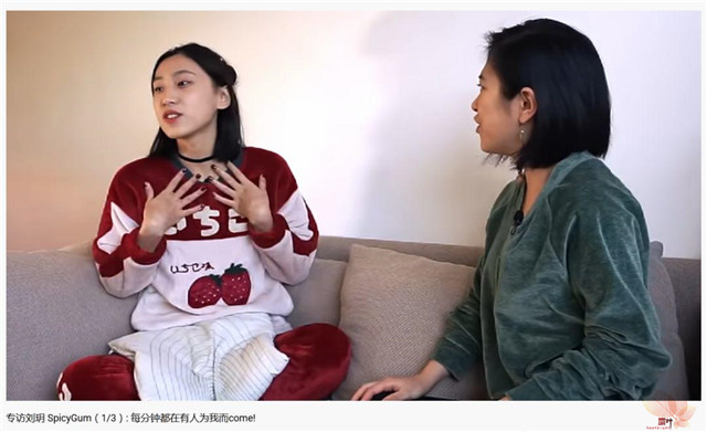 P站刘�h：核心价值观的照妖镜