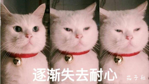中山ふみか（中山文香）H杯是真香~