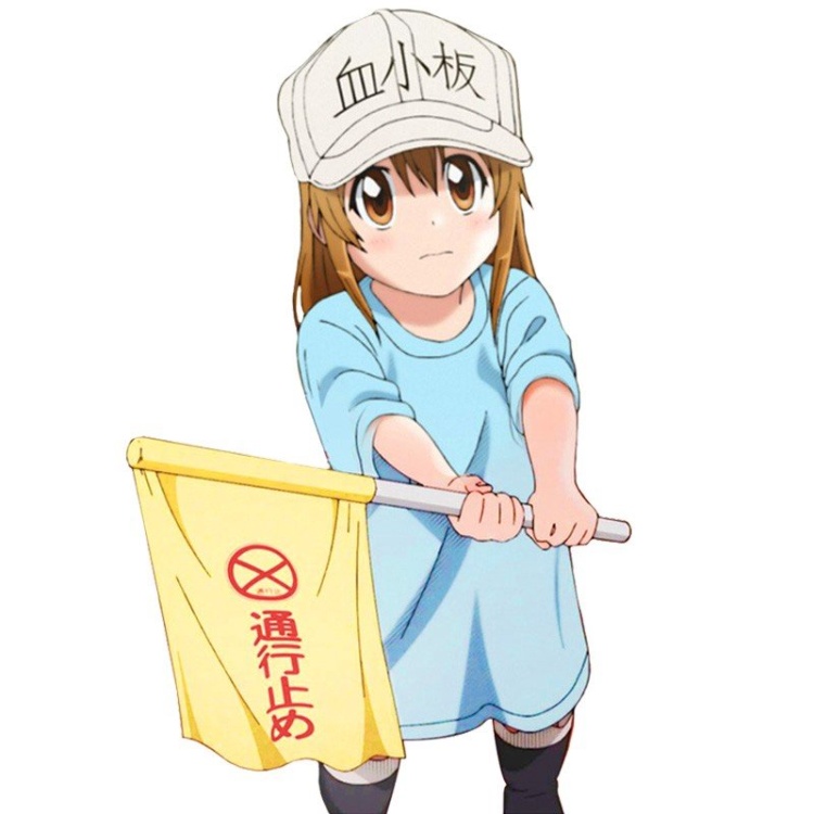 血小板.jpg
