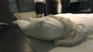 1693374612.25 (1).gif