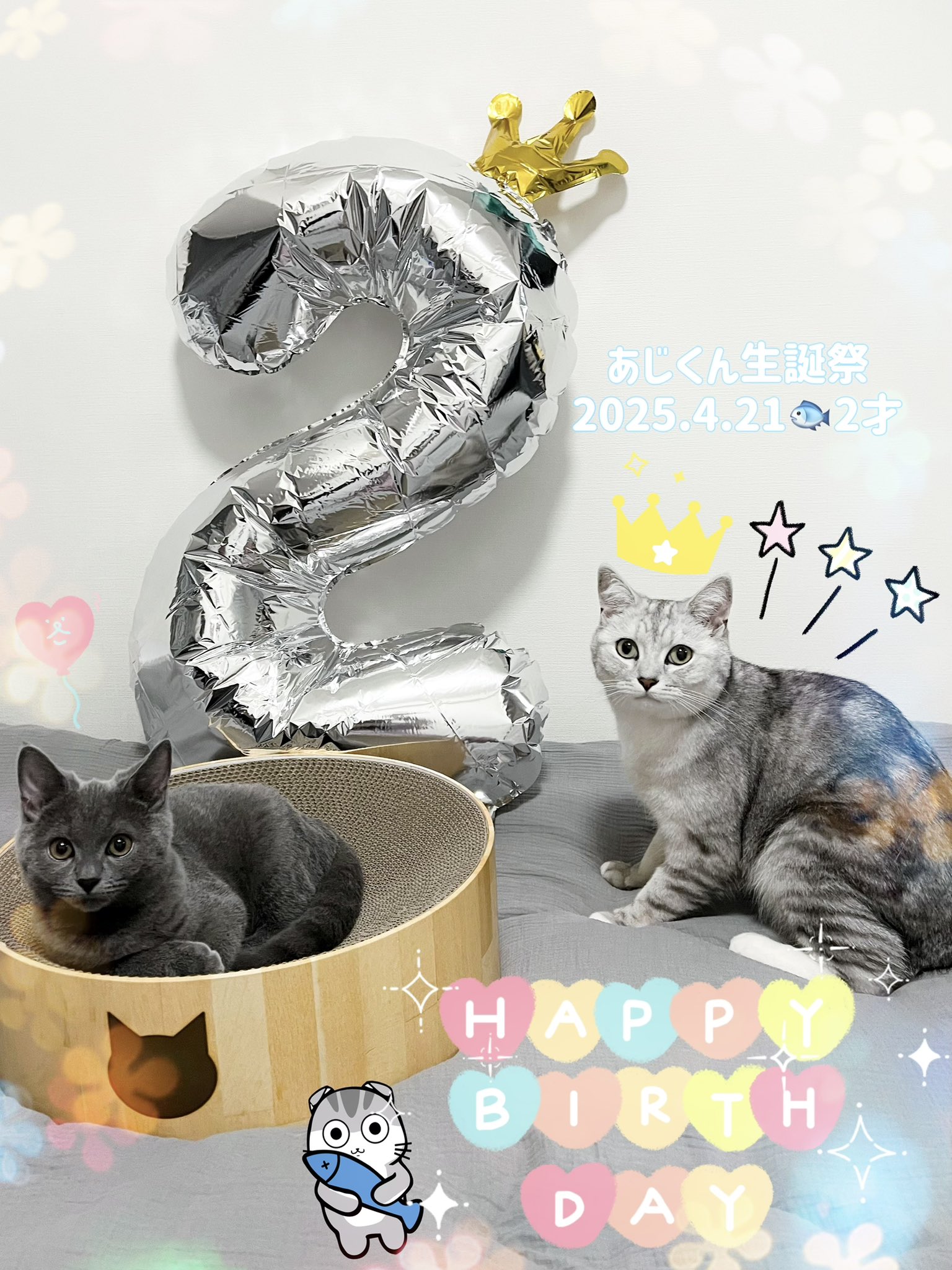 悲剧了!男粉花60万买偶像《远月冬花》约会机会!同行工作人员竟是她老公!