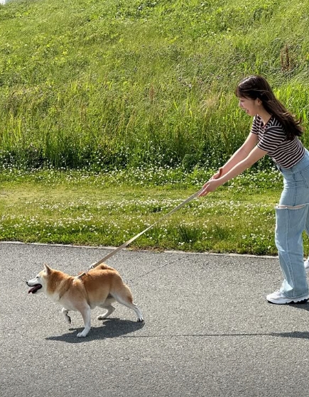 有养柴犬的美女《小柴あいり》也是小狗可爱颜!阳光美少女的形象代表!