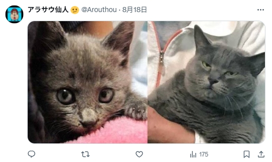 网友热议《当开朗角色眼神失去光》经历成长痛后，期待反差魅力产生！