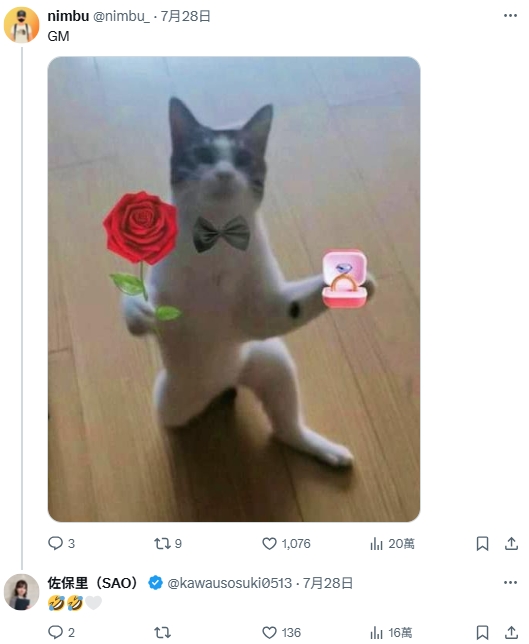 职场美女《佐保里SAO》可爱外貌爆红!就连伊隆马斯克都转贴她!