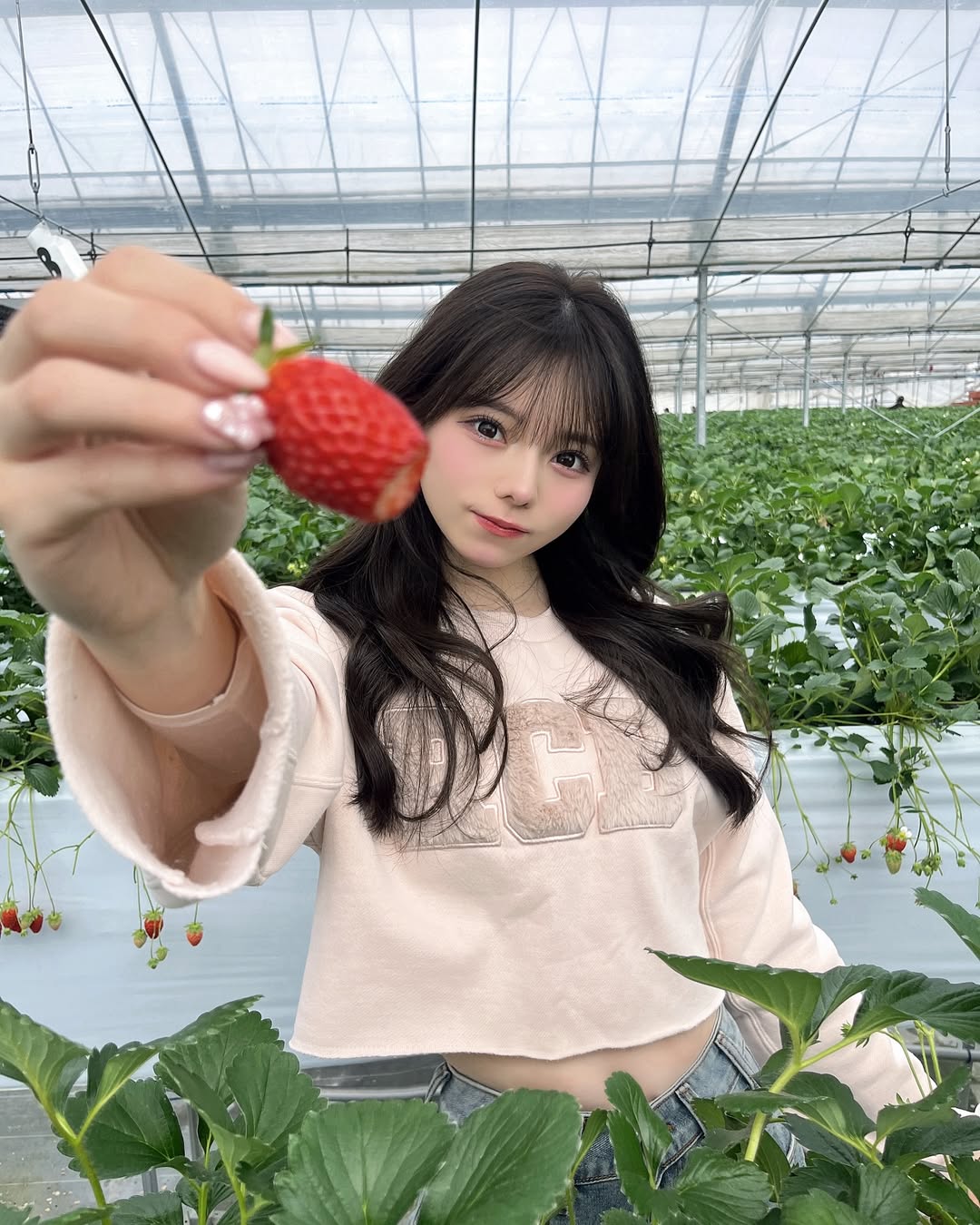 偶像正妹《大森莉绪》成为新一代「奇迹美照」是否能复制千年一遇的爆红?