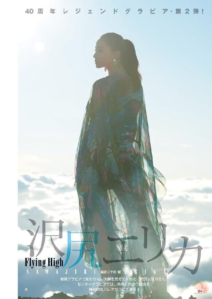 传说再光临泽尻英龙华