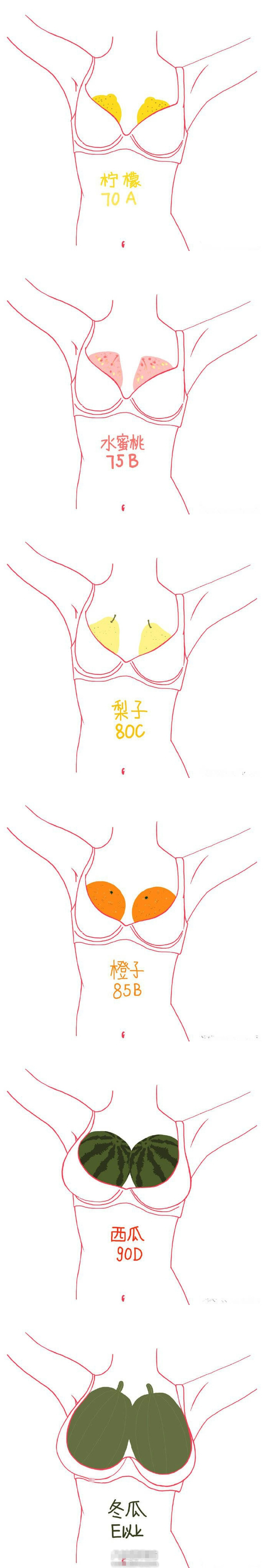 你女朋友是哪个cup（罩杯）？第2张