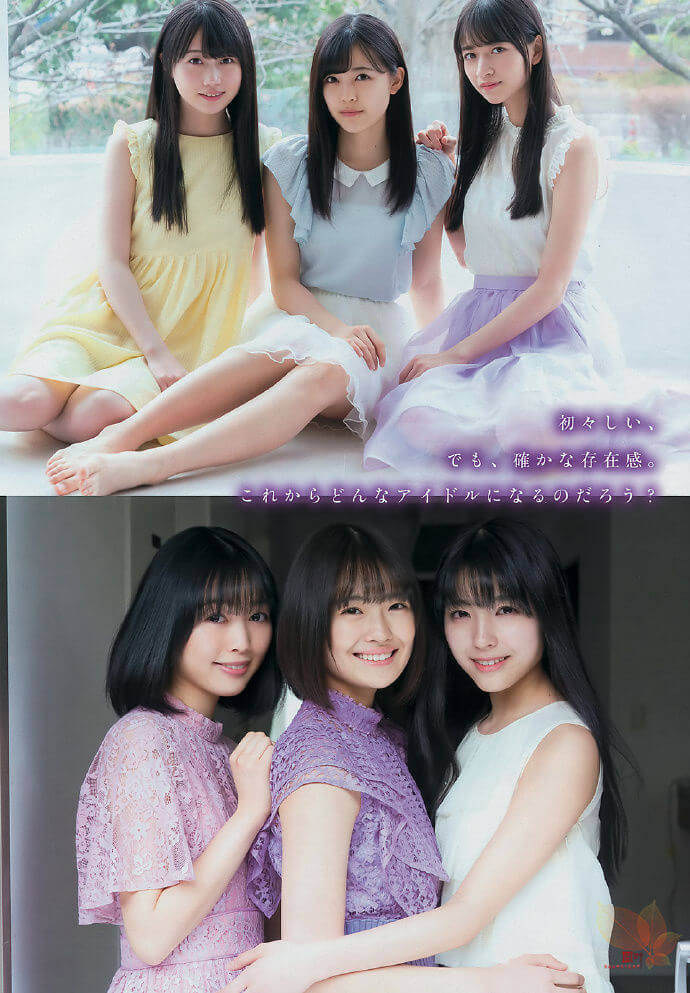 乃木坂46-YoungMagazine