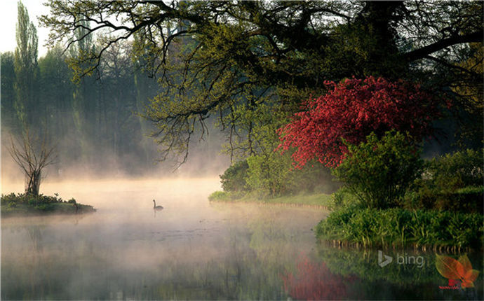 1572824641302728.jpg 壁纸精选 (195).jpg