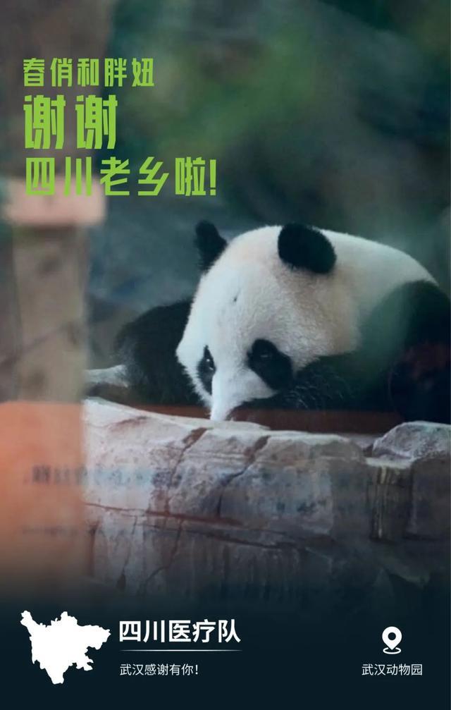 31省市支援湖北海报