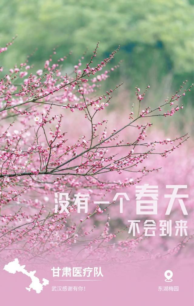 31省市支援湖北海报