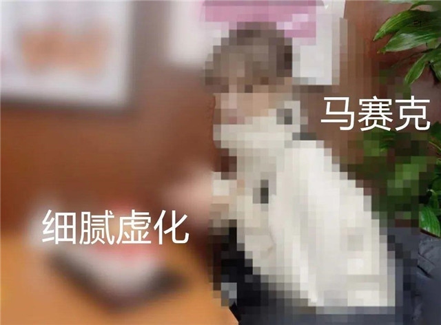 JHV集团的双子星|Max-A和Alice Japan