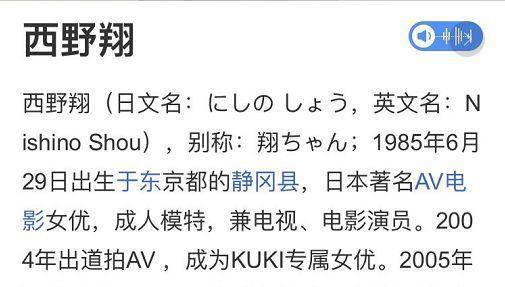 两代人的青春终结 ―― 西野翔年底引退
