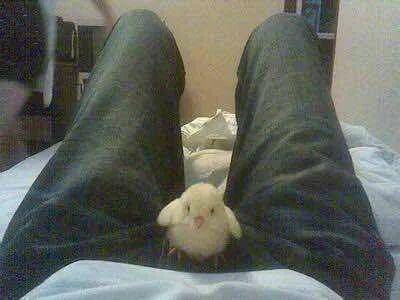 硬盘里的女优们,后来都怎么样了 硬盘里的女优们,后来都怎么样了