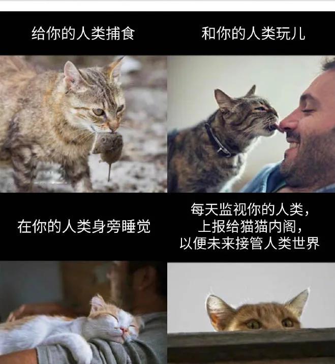 【20200815】我的2020,一脸懵逼