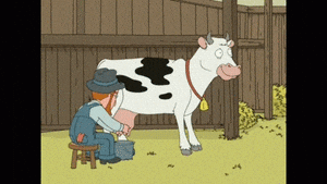 BcCbtcNyXq2fXqpCiWzF2ChK4c0rbFmq.gif
