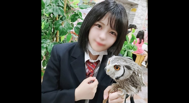 【2022-1月】FC2-PPV超高颜值番号合集 (1)