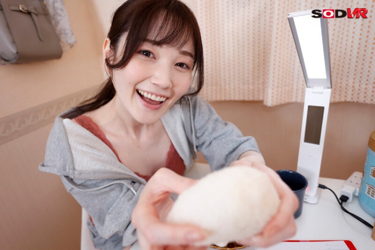 本田もも(本田桃，Honda-Momo)经典作品封面合集（附品番）2023